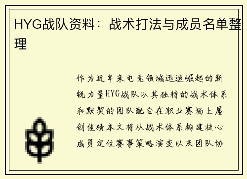HYG战队资料：战术打法与成员名单整理